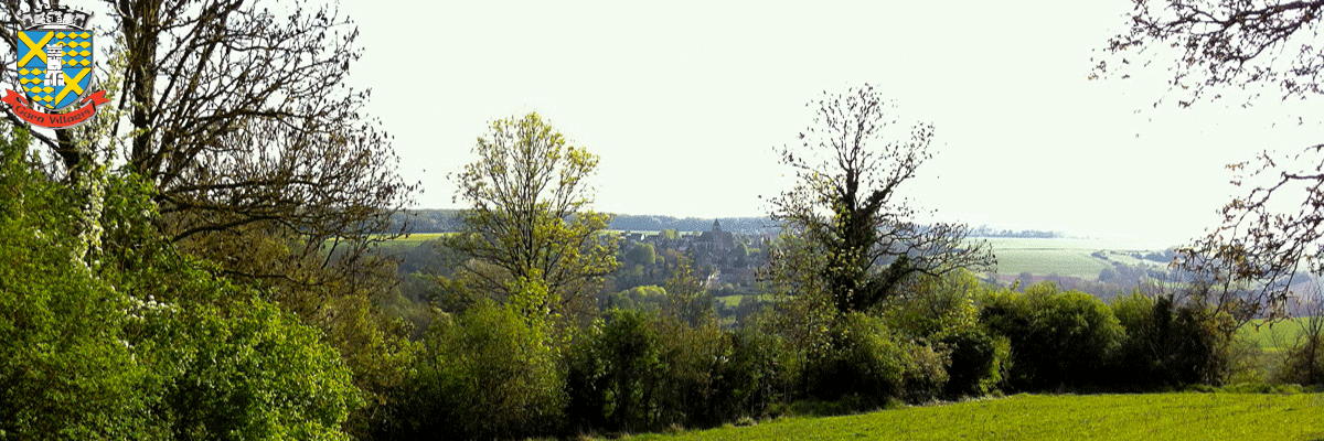 panorama003